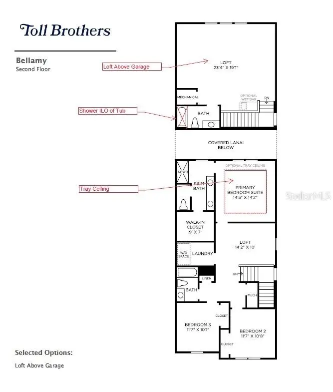 2596 Long Pine Avenue, Apopka, FL 32712 - #3