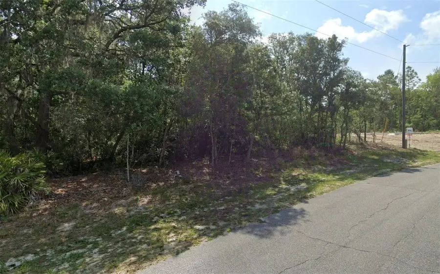 Sw 79th Ave Rd, Ocala, FL 34473 - #3