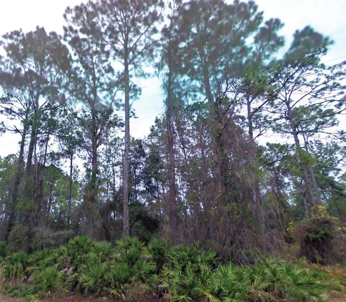 NE 66th Avenue, Citra, FL 32113 - #1