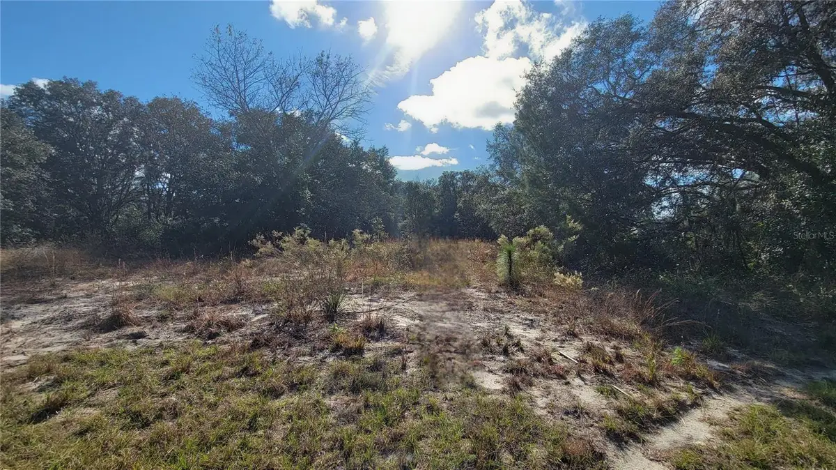 SW 131st Lane, Ocala, FL 34473 - #1