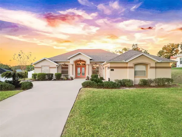 10809 Vineyard Court, CLERMONT, FL 34711