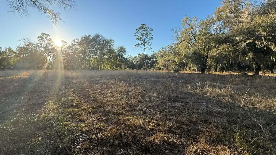 NE 40th Street, Williston, FL 32696 - #2