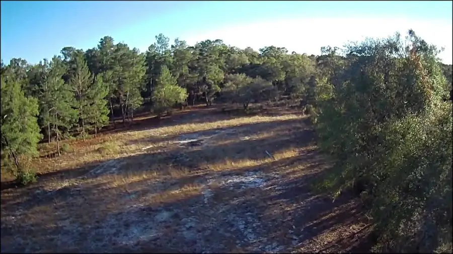 NE 40th Street, Williston, FL 32696 - #3