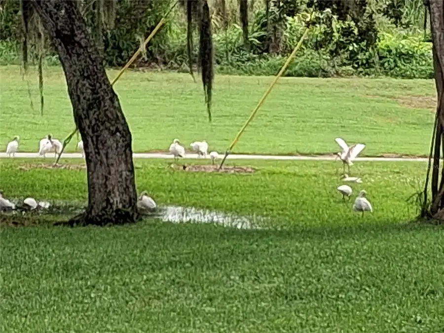 7 Vista Gardens Trail #105, Vero Beach, FL 32962 - Image #3