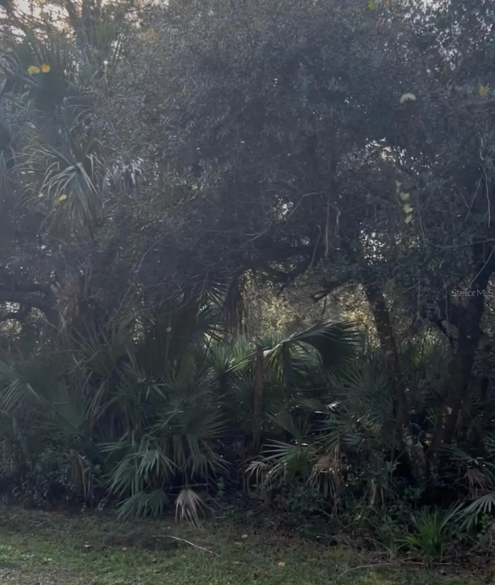 00 Dill Road, Orlando, FL 32820 - #1