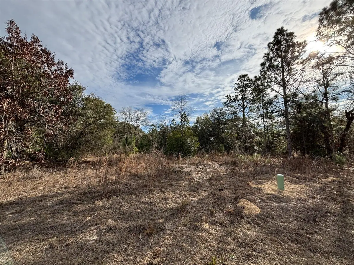 6505 N Varsity Avenue, Citrus Springs, FL 34434 - Image #1