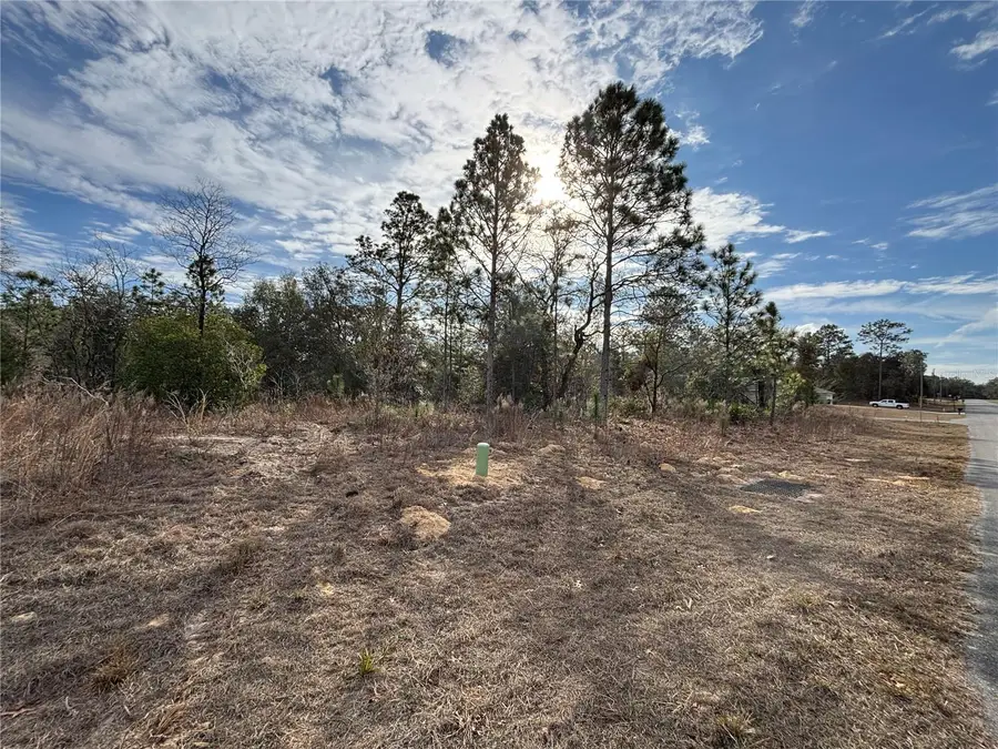 6505 N Varsity Avenue, Citrus Springs, FL 34434 - Image #3