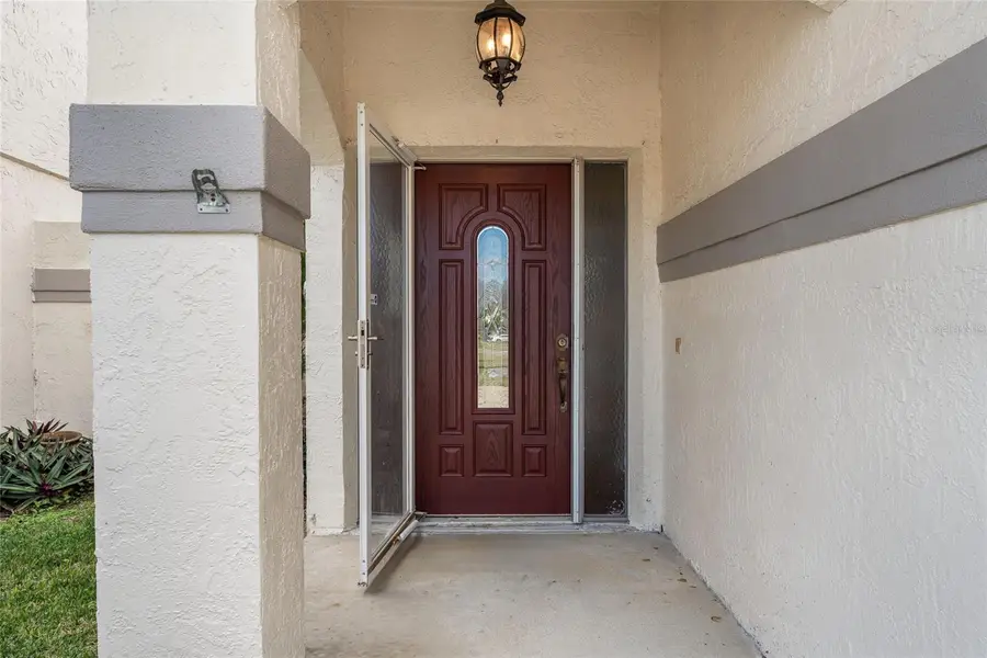 11606 Peach Grove Lane, Orlando, FL 32821 - Image #3