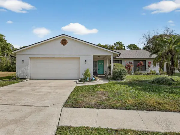 11321 Scenic View Lane, ORLANDO, FL 32821