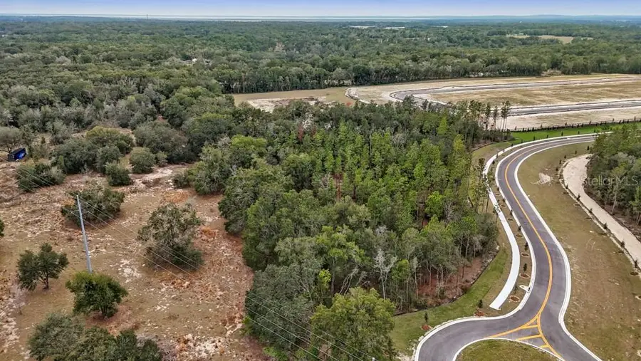 5936 Stoneybrook Hills Parkway, Mount Dora, FL 32757 - Image #3