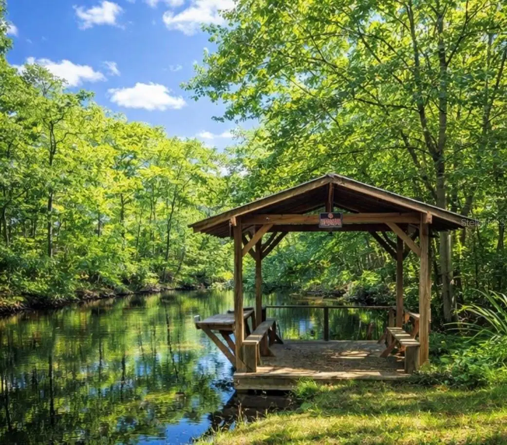 12811 E Big Buck Trail, Floral City, FL 34436 - #1