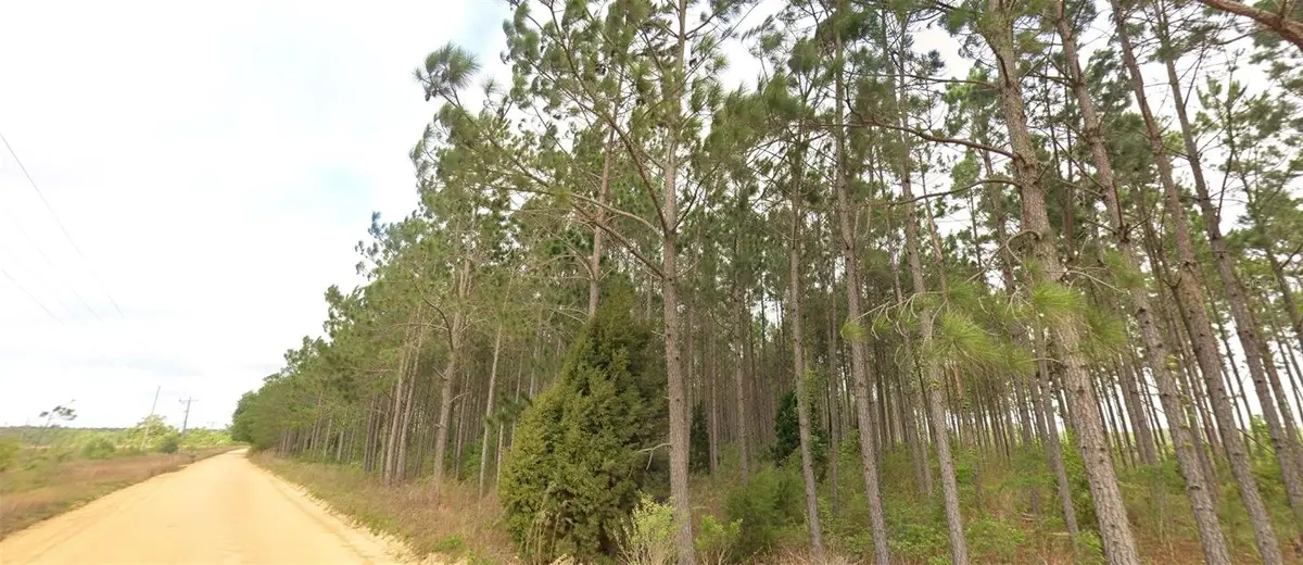 Tower Road, Bascom, FL 32423 - #1