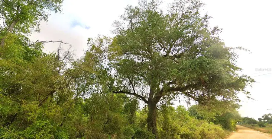 Tower Road, Bascom, FL 32423 - #3