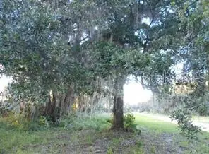 566 Sioux Boulevard, OAK HILL, FL 32759