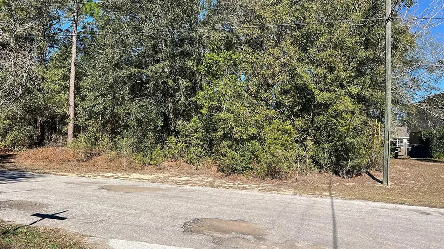 2559 W Castle Road, Citrus Springs, FL 34434 - Image #3