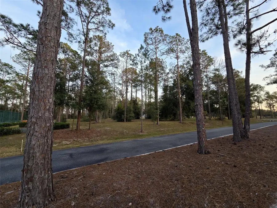 LOT 2 Clearwater Way, Groveland, FL 34736 - #3