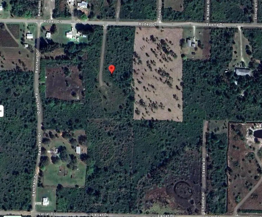 2733 Tawny Drive, Lorida, FL 33857 - #3