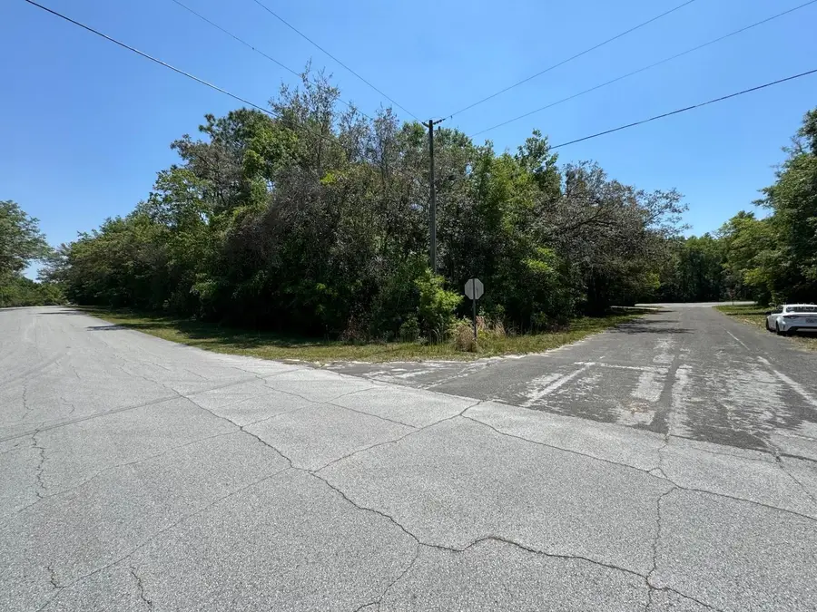 9146 N Golfview Drive, Citrus Springs, FL 34434 - Image #2