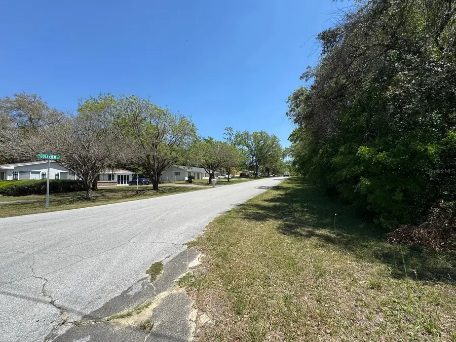 9146 N Golfview Drive, Citrus Springs, FL 34434 - Image #3