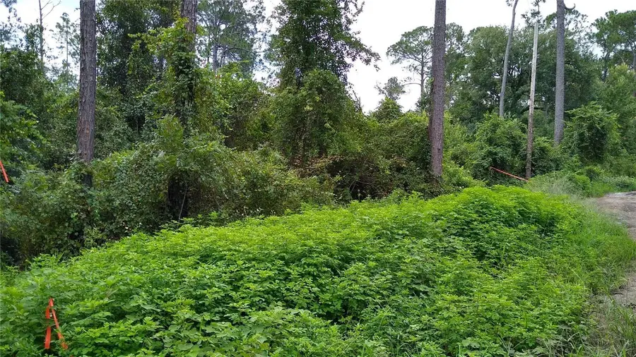 12th Avenue, Deland, FL 32724 - Image #2