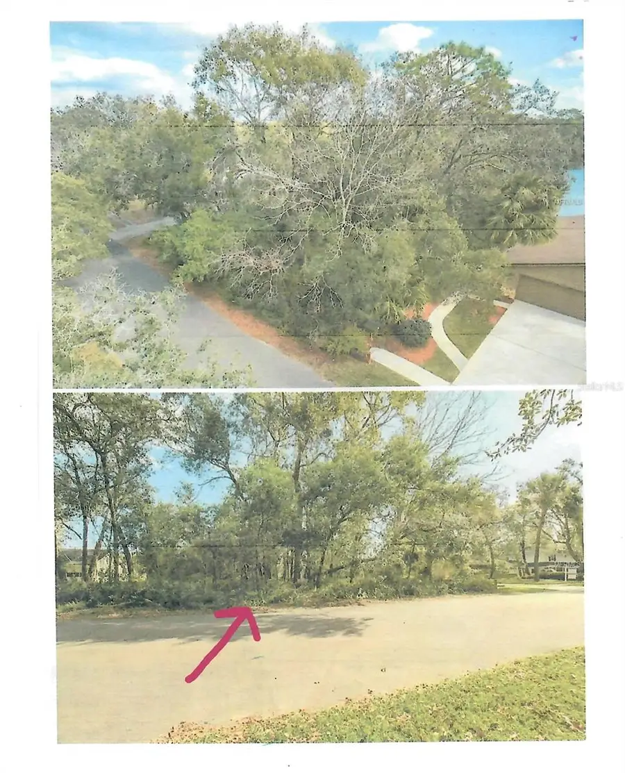 421 Cardinal Oaks Court, Lake Mary, FL 32746 - Image #2