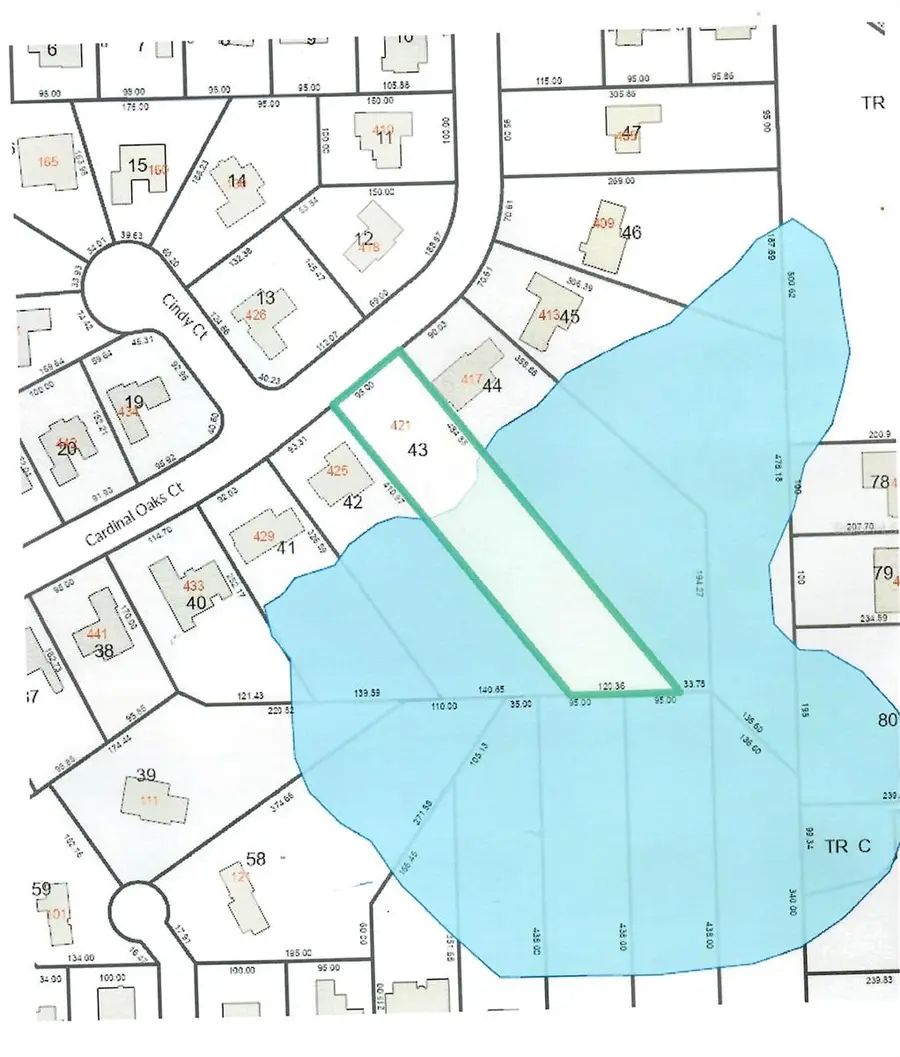 421 Cardinal Oaks Court, Lake Mary, FL 32746 - Image #3