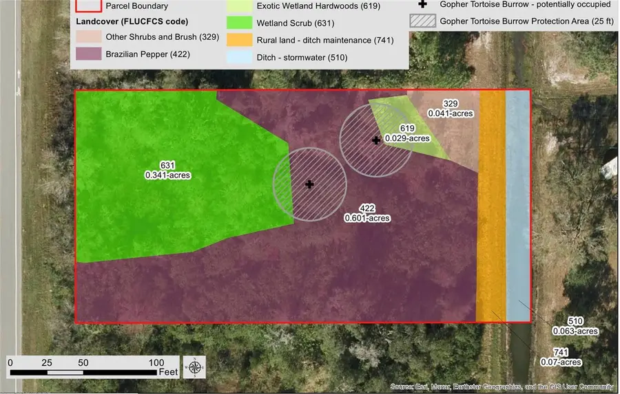 Dallas Boulevard, Orlando, FL 32833 - Image #2