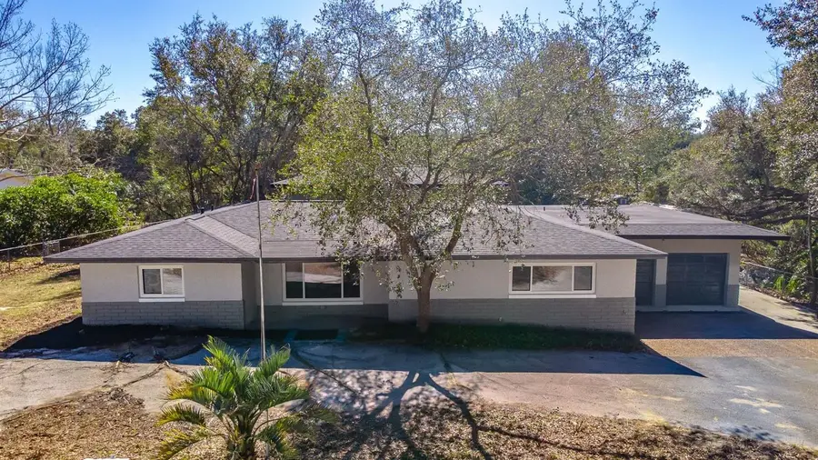 16880 SE 63rd Lane, Ocklawaha, FL 32179 - #2