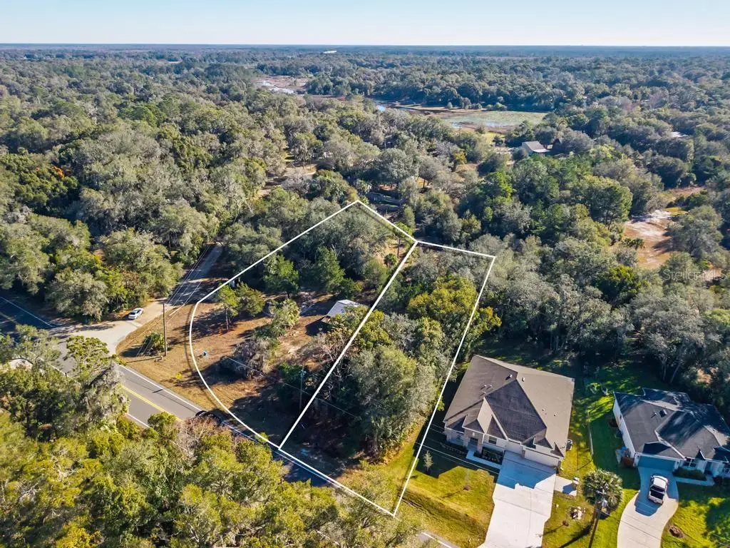 County Road 435, Mount Plymouth, FL 32776 - #1