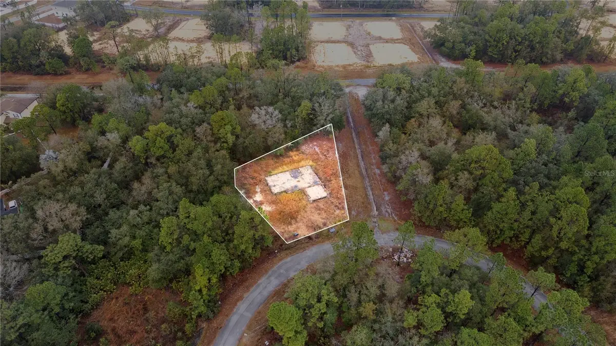 1443 Tern Court, Poinciana, FL 34759 - #1