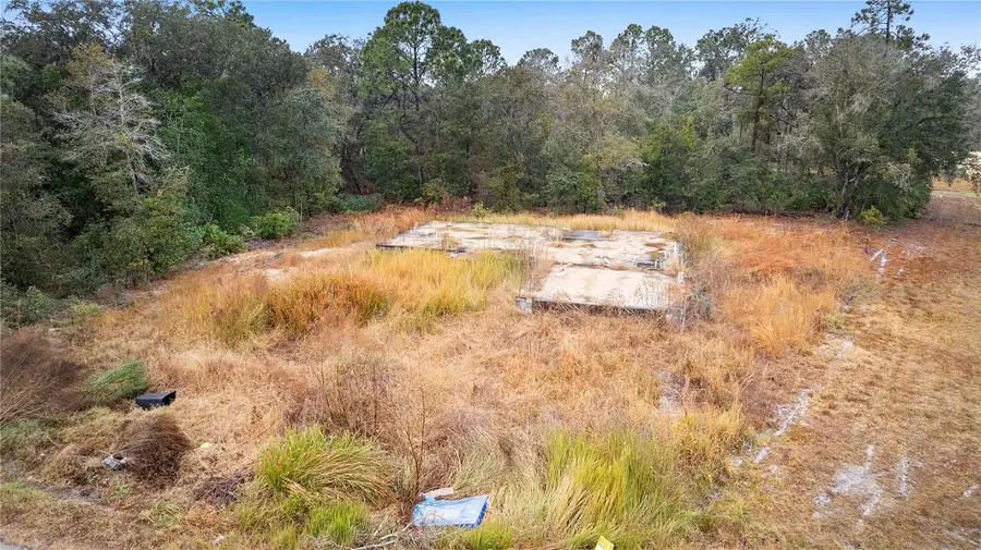 1443 Tern Court, Poinciana, FL 34759 - #2