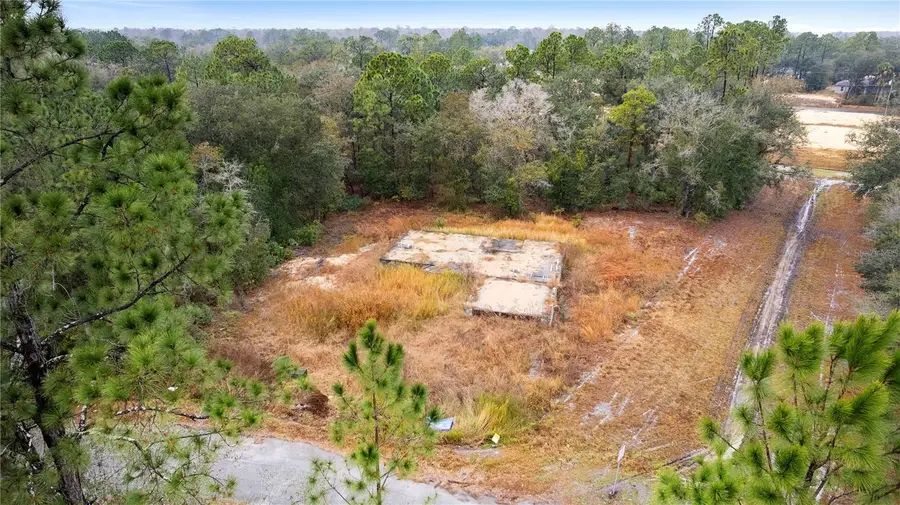 1443 Tern Court, Poinciana, FL 34759 - #3