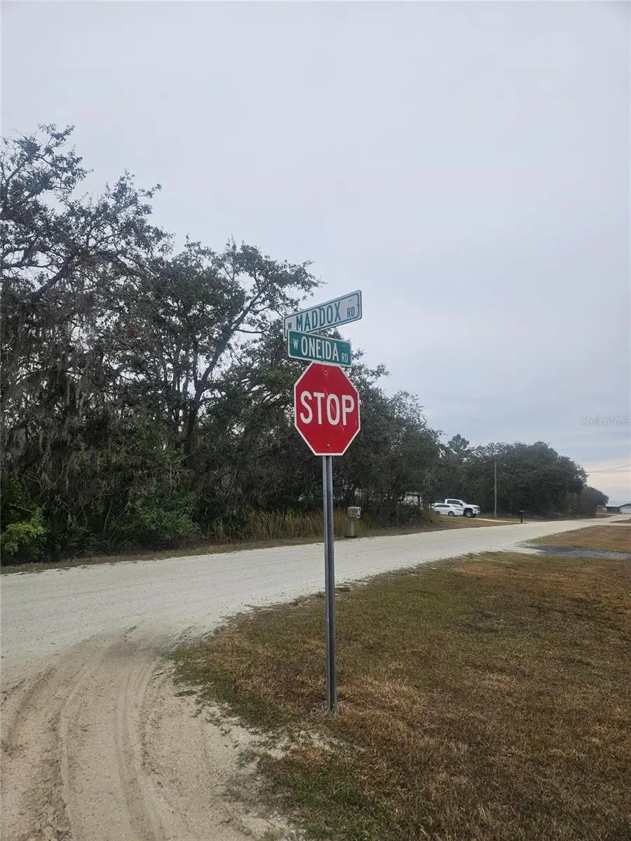 3171 W Maddox Road, Avon Park, FL 33825 - #2