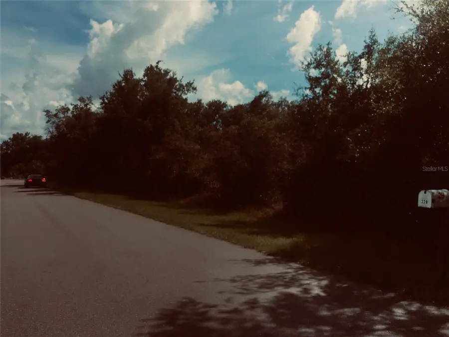 237 Evergreen Street, Punta Gorda, FL 33982 - #3