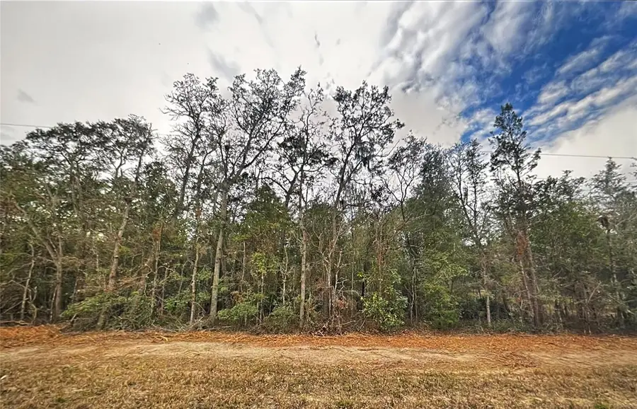 0 Usina Avenue, Interlachen, FL 32148 - Image #3