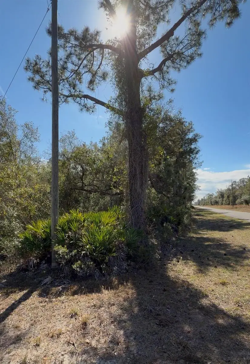 923 Gaillardia Drive, Indian Lake Estates, FL 33855 - #3