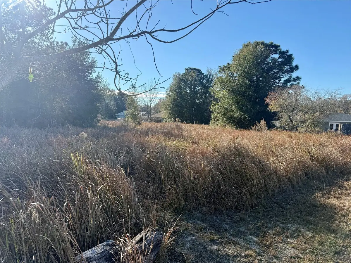 Dogwood Loop Court, Ocala, FL 34472 - #1