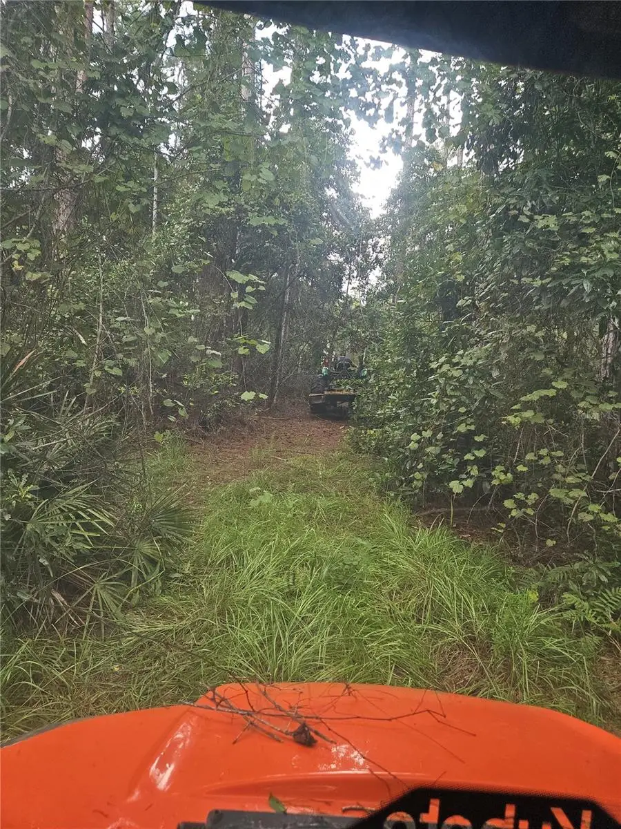 1255 Black Bear Ranch Trail, Pierson, FL 32180 - #2