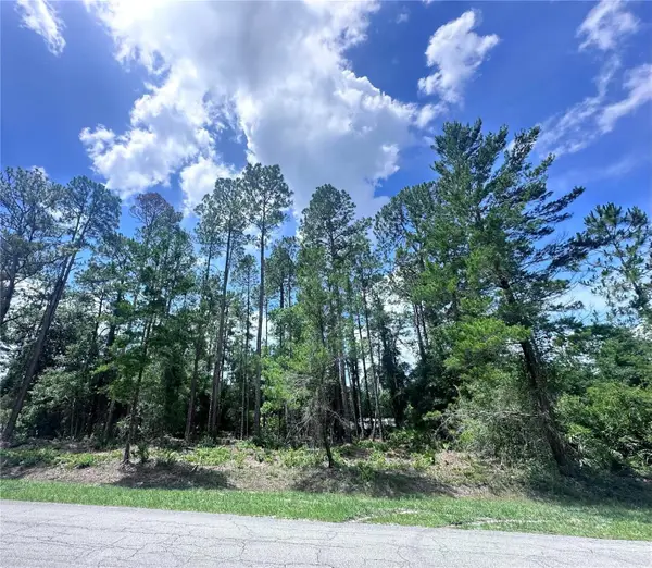 107 S Georgetown Point Road, GEORGETOWN, FL 32139