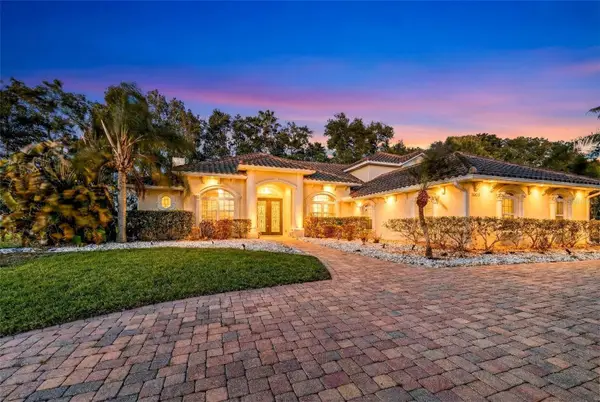 16623 Royal Palm Drive, GROVELAND, FL 34736