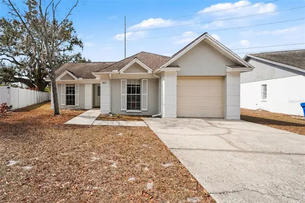 4617 Cabbage Palm Drive, VALRICO, FL 33596