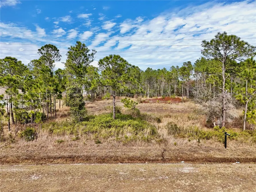 19115 Meredith Parkway, Orlando, FL 32833 - #2