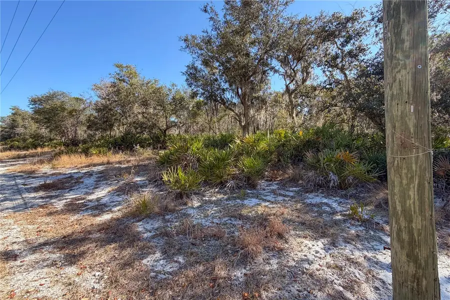 3201 Scrub Oak Lane, Lake Wales, FL 33898 - #3