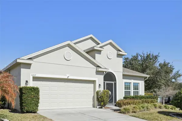 3207 Zander Drive, GRAND ISLAND, FL 32735
