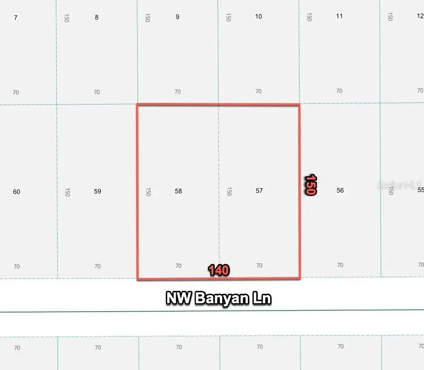 24309 NW Banyan Lane, Dunnellon, FL 34431 - #2