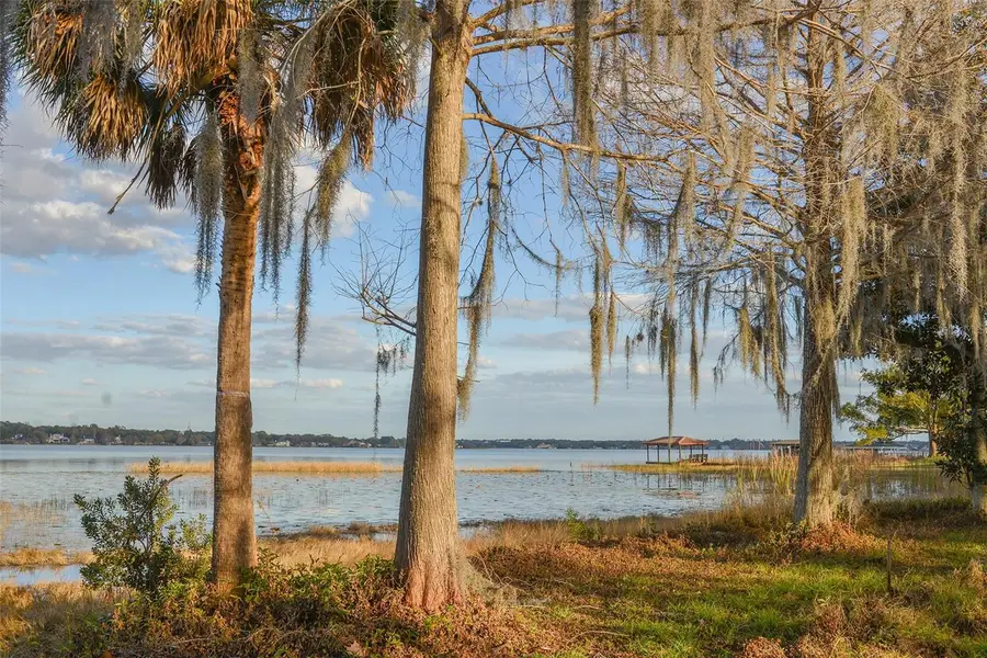 11010 Schooner Way, Windermere, FL 34786 - #2