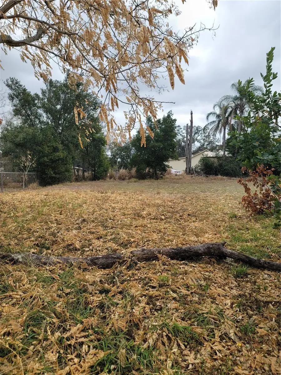 6th Street N, Haines City, FL 33844 - #1