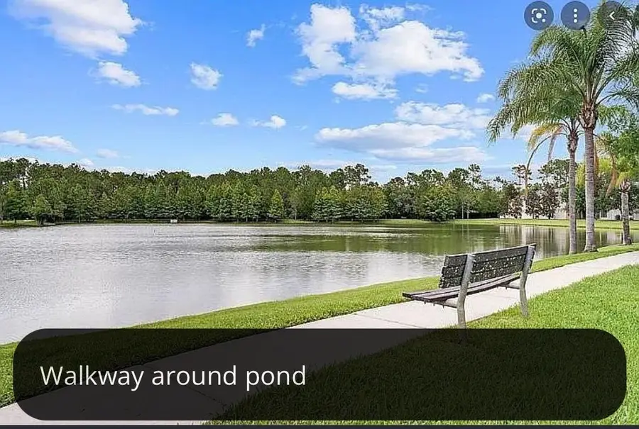 8162 Serenity Spring Dr., Windermere, FL 34786 - #3