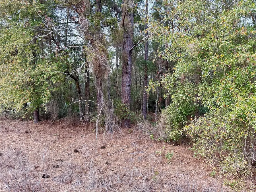 Sw 129th Terrace Road, Ocala, FL 34481 - #3