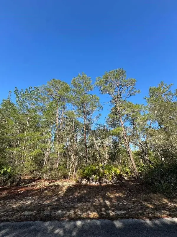 Address Withheld By Seller, OCKLAWAHA, FL 32179